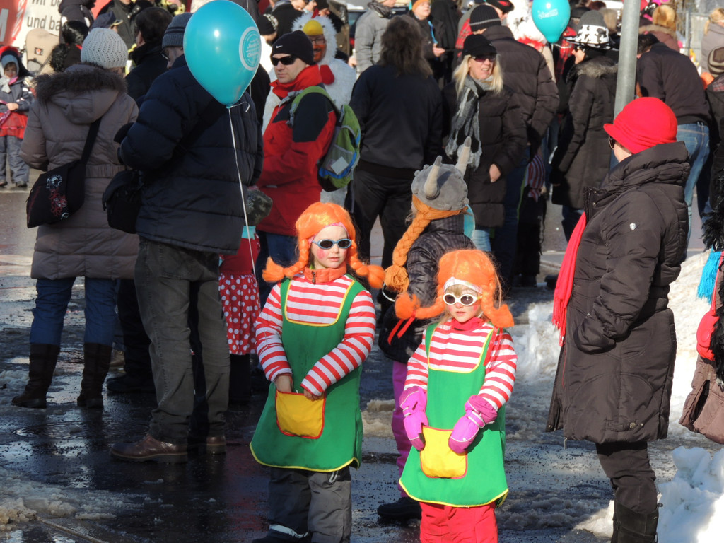 DSCN0162_JPG-1360628464