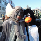 DSCN0203_JPG-1360628515