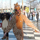 DSCN0205_JPG-1360628517