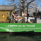 DSCN0307_JPG-1360628627