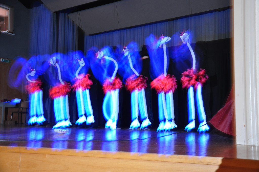 DSC_0067_JPG-1360658066