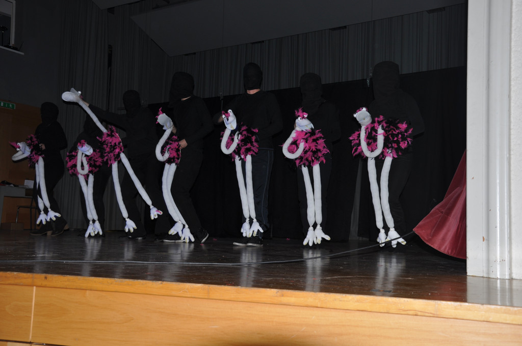 DSC_0076_JPG-1360658132