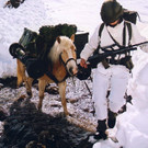 CAP13_07.jpg