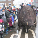 IMG_3008_JPG-1360661616