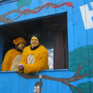 IMG_3015_JPG-1360661883