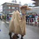 IMG_3024_JPG-1360662220