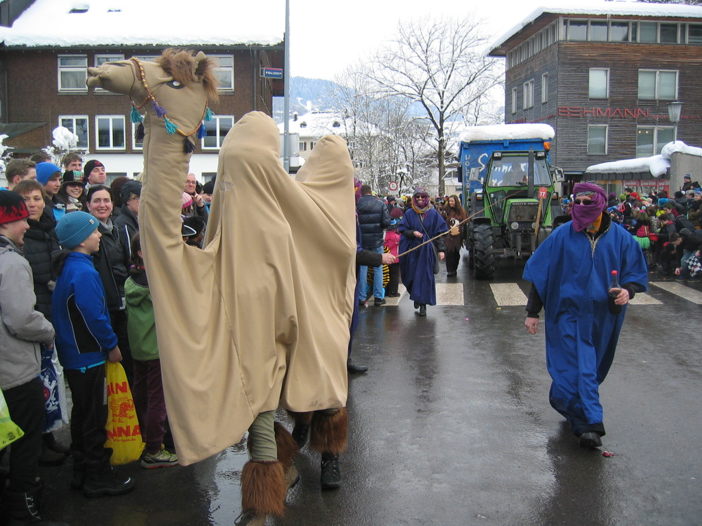 IMG_3025_JPG-1360662256