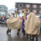 IMG_3026_JPG-1360662284