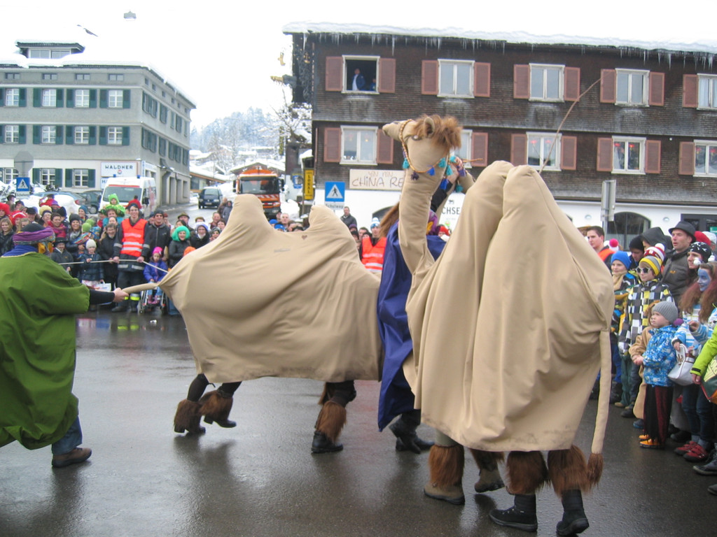 IMG_3026_JPG-1360662284