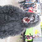 IMG_3049_JPG-1360663089