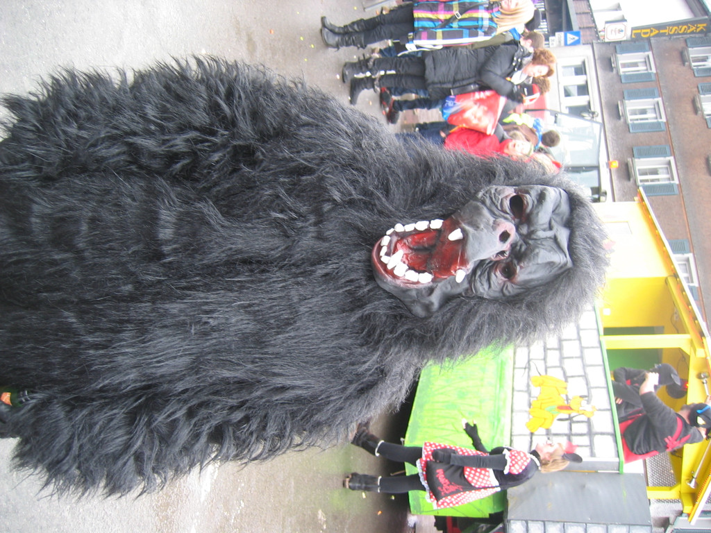 IMG_3049_JPG-1360663089