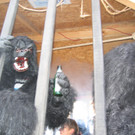 IMG_3050_JPG-1360663126