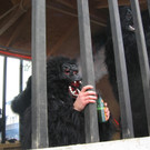 IMG_3051_JPG-1360663153