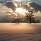 DSC_2150-Web.jpg