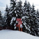 normal_11022013schigebietduerrnbergat05007aktivnews_21.jpg
