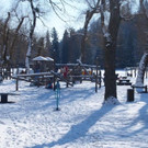 normal_10022013hellbrunnde01007aktivnews_19.jpg