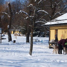 normal_10022013hellbrunnde01007aktivnews_22.jpg