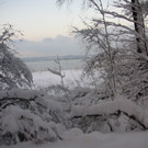 bezaubernde Momente aus Bregenz