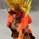 IBD0049-20130212.jpg