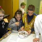 DSCN0403.JPG