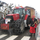 Faschingsumzug Meiningen 2013