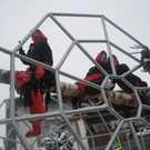 grilla_jpg 101_jpg-1360680831