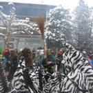 grilla_jpg 126_jpg-1360681019