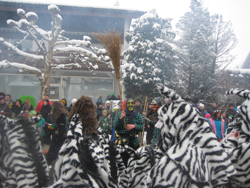 grilla_jpg 126_jpg-1360681019