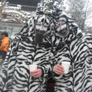 grilla_jpg 128_jpg-1360681030