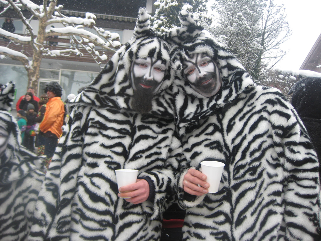 grilla_jpg 128_jpg-1360681030