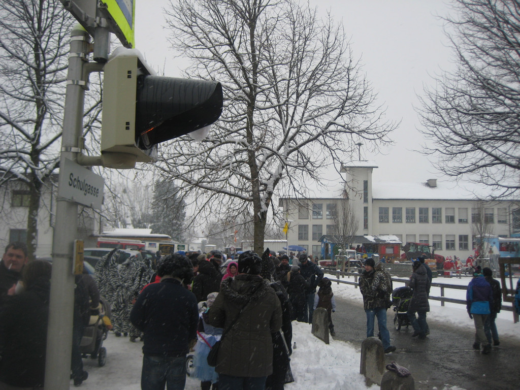 grilla_jpg 154_jpg-1360681165