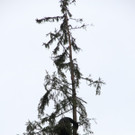 IMG_8244.JPG