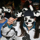 IMG_3153_JPG-1360683193