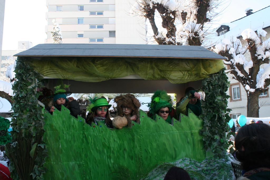 IMG_2858_JPG-1360685372