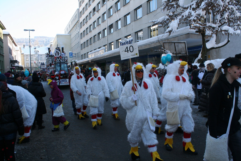 IMG_2871_JPG-1360685565