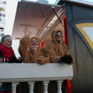 IMG_2881_JPG-1360685699