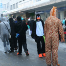 IMG_2884_JPG-1360685742