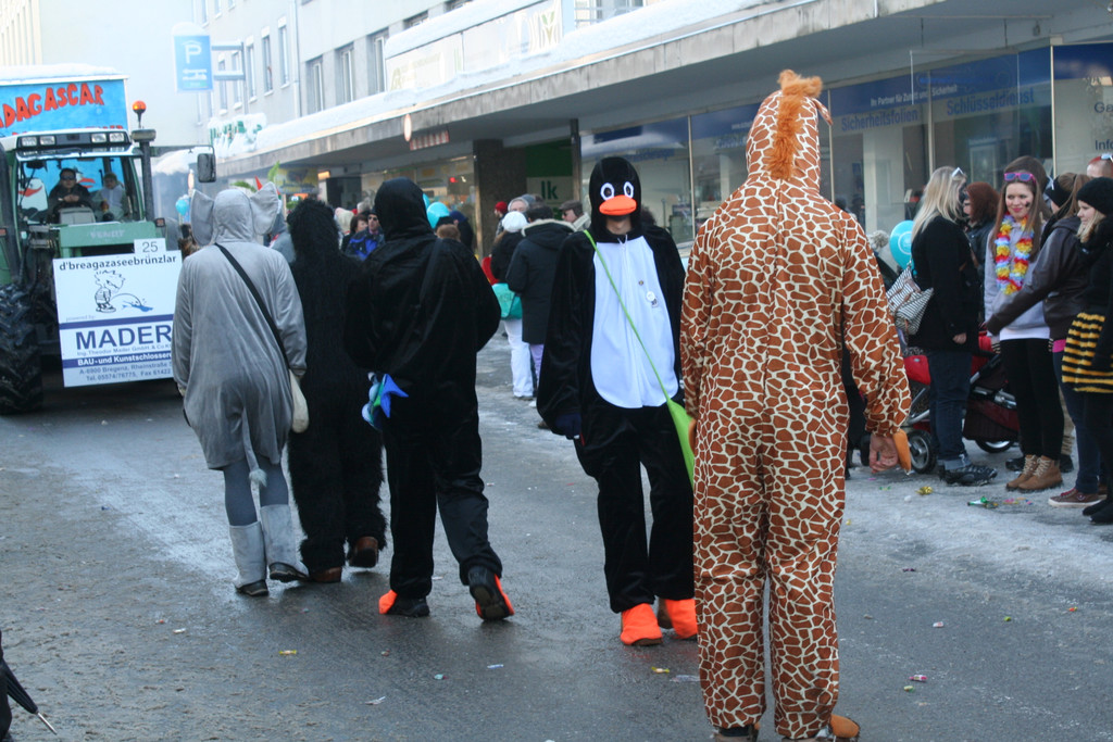 IMG_2884_JPG-1360685742