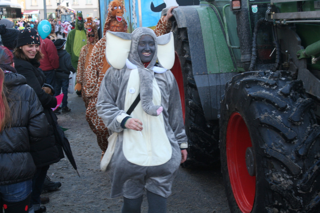 IMG_2885_JPG-1360685754