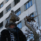 IMG_2896_JPG-1360685906