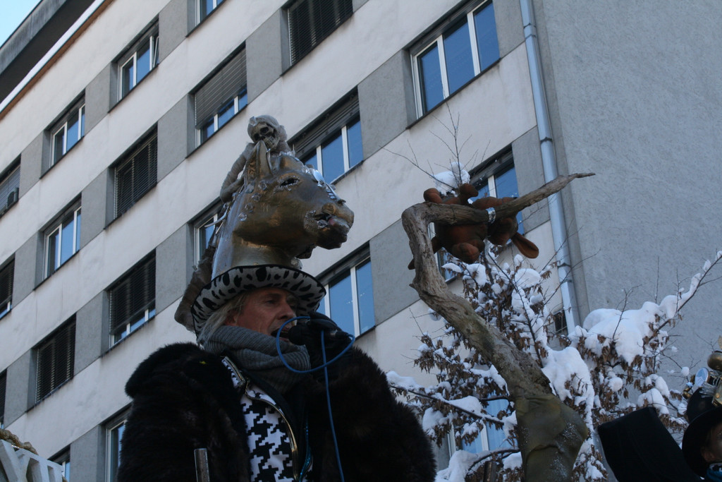 IMG_2896_JPG-1360685906