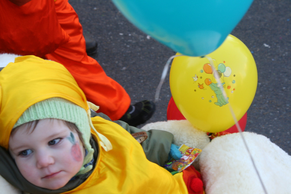 IMG_2934_JPG-1360686395