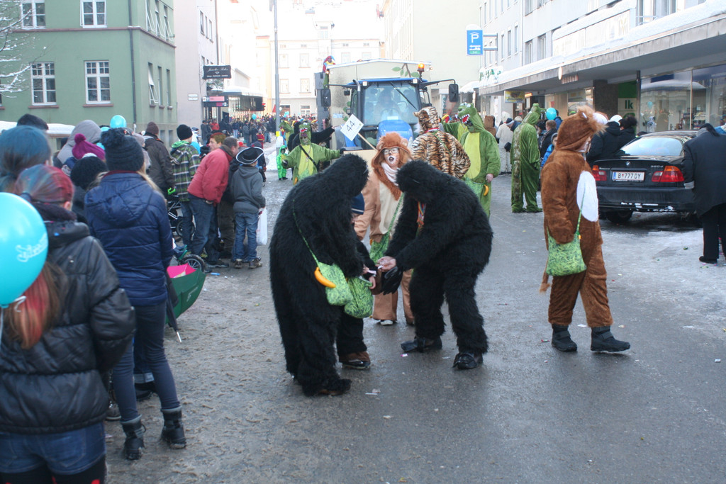 IMG_2952_JPG-1360686620