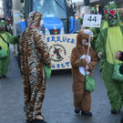 IMG_2953_JPG-1360686636