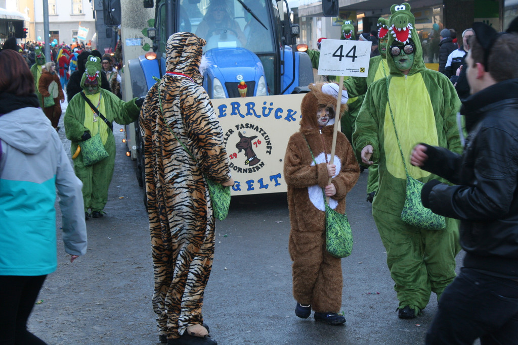 IMG_2953_JPG-1360686636