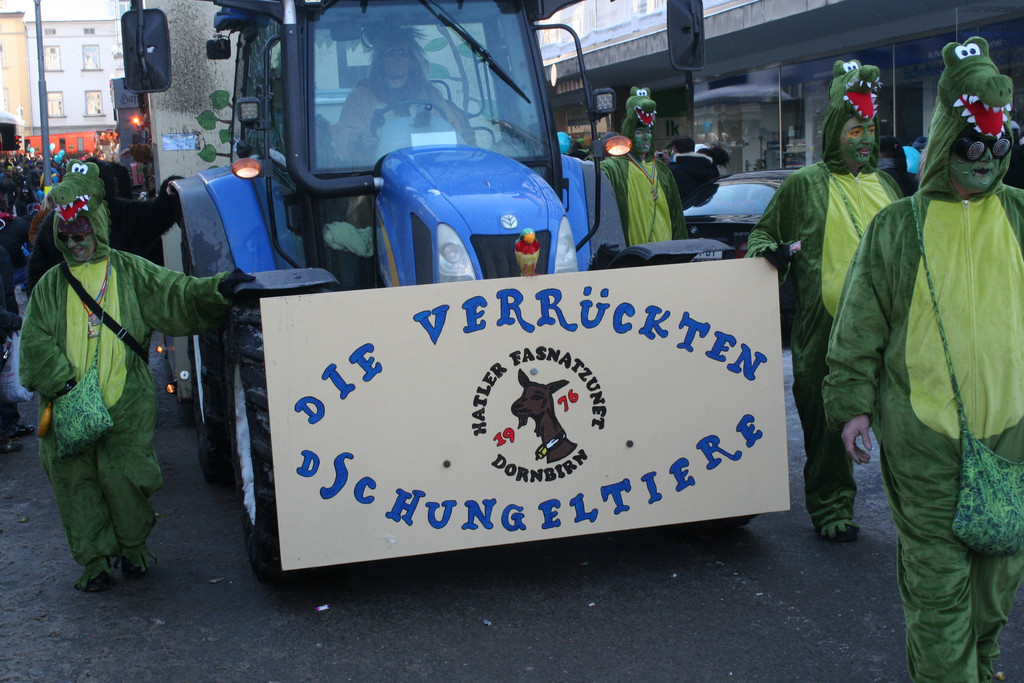 IMG_2956_JPG-1360686676