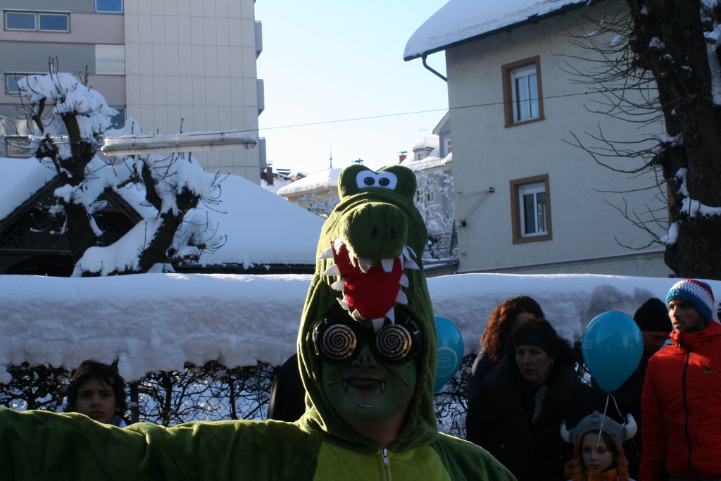 IMG_2957_JPG-1360686689