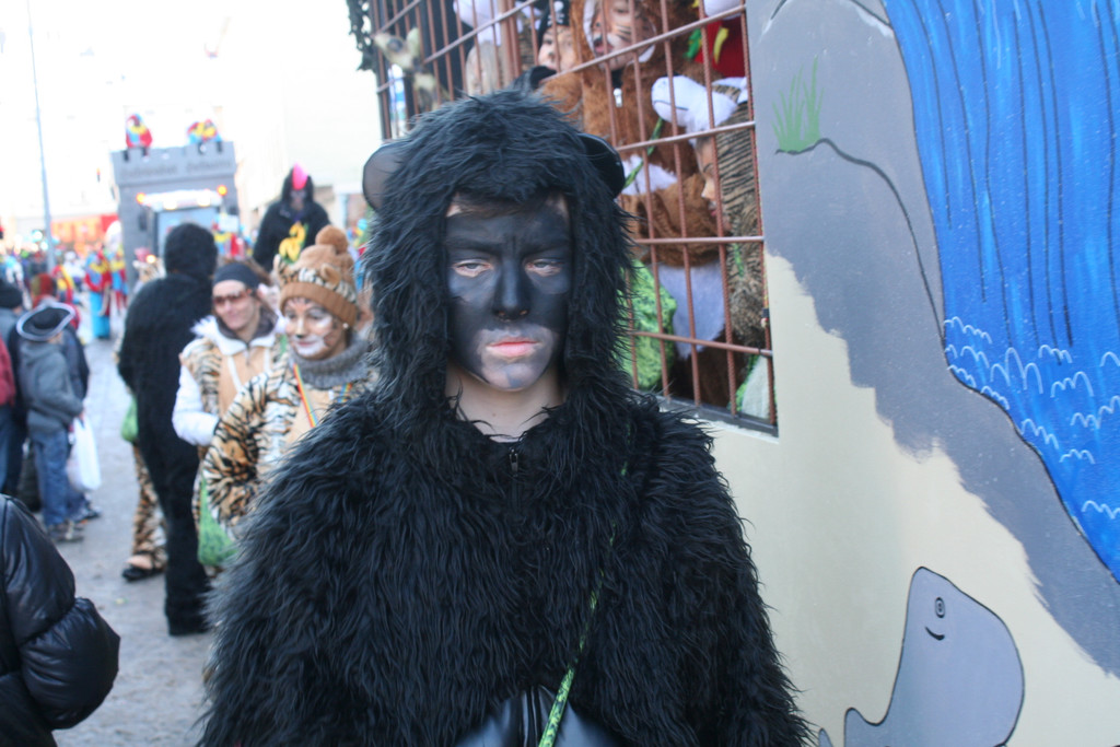 IMG_2959_JPG-1360686711