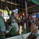 IMG_2960_JPG-1360686727