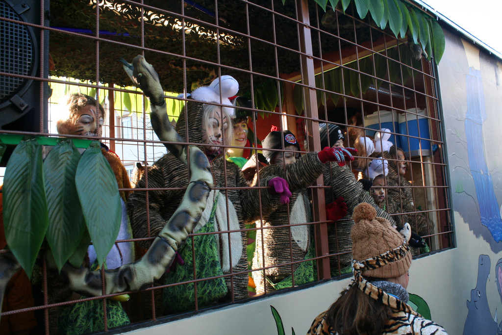 IMG_2960_JPG-1360686727